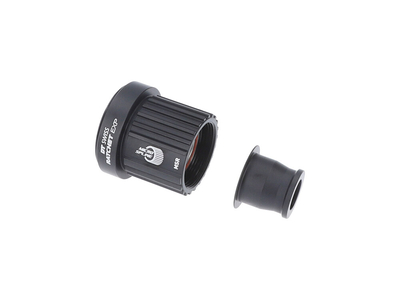 DT SWISS Freilaufkörper Kit Light Ratchet EXP | Shimano Micro Spline Road 12x142 mm Steckachse