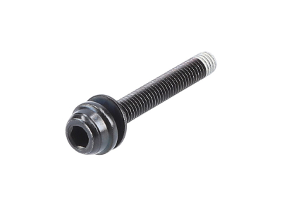 SHIMANO Mounting Screw for Flat Mount Brake Caliper/Adapter | Type C2 25 mm | 34 mm