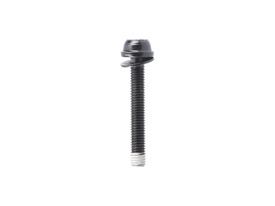 SHIMANO Befestigungsschraube fr Flat Mount Bremssattel/Adapter | Typ C2 25 mm | 38 mm