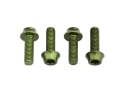 WOLF TOOTH Screw set M5 x 15 mm bottle cage bolts | olive