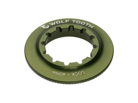 WOLFTOOTH Center Lock Ring Internal Spline | olive