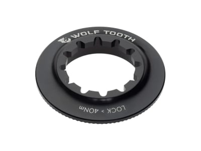 WOLFTOOTH Center Lock Ring Internal Spline | black