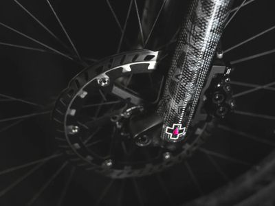 MUC-OFF MTB Fork Protection Set | punk | matt