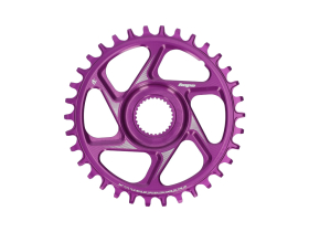 HOPE Kettenblatt E-Bike Direct Mount Spiderless R22...