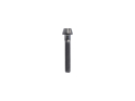 Titanium Screw M5x30 conical | black