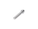 Titanium Screw M6x30 conical | silver