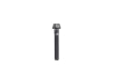 Titanium Screw M6x30 conical | black