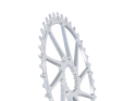 GARBARUK Kettenblatt Melon Direct Mount oval | 1-fach narrow-wide Cannondale Hollowgram Road / Gravel | silber 48 Zähne