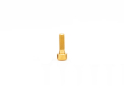 OAK COMPONENTS Screw for Orbit Seatclamp | Titan | gold