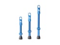 SYNCROS Tubeless Valves | blue
