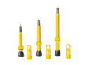 SYNCROS Tubeless Valves | gold