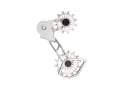 FRAEZEN derailleur system KAEFIG | SRAM Eagle AXS | SRAM Eagle mechanic | silver / silver