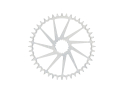 GARBARUK Chainring round Road/CX/Gravel | Cannondale Direct Mount | silver 42 Teeth