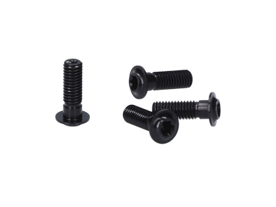 EXTRALITE Schrauben Set ExtraBolt 12.1 | M5x15 Flachkopf Aluminium | schwarz