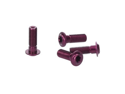 EXTRALITE Schrauben Set ExtraBolt 12.1 | M5x15 Flachkopf Aluminium | lila