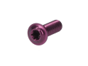 EXTRALITE Screw Set ExtraBolt 12.1 | M5x15 Flathead Aluminum | purple