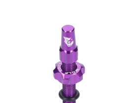 WOLF TOOTH Tubeless Valve Stem Kit | purple