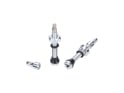WOLF TOOTH Tubeless Valve Stem Kit | silver