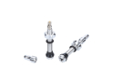 WOLFTOOTH Tubeless Valve Stem Kit | silver