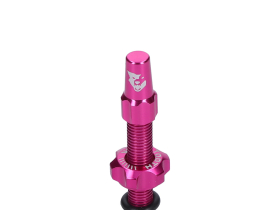 WOLF TOOTH Tubeless Valve Stem Kit | pink