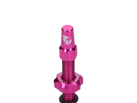 WOLFTOOTH Tubeless Ventile Stem Kit | pink