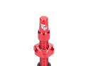 WOLFTOOTH Tubeless Valve Stem Kit | red 60 mm