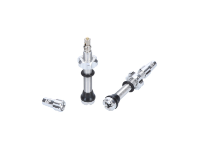 WOLF TOOTH Tubeless Valve Stem Kit | silver 60 mm