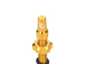 WOLF TOOTH Tubeless Valve Stem Kit | gold 60 mm