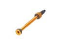 YUNIPER Tubeless Valve | gold 110 mm