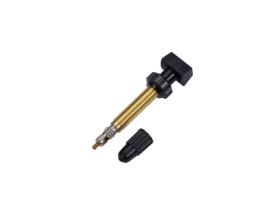 BBB CYCLING Tubeless Valve BTI-159 | 2 Pieces | 48 mm | Gold