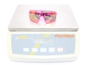 SCOTT sunglasses Torica acid pink | pink chrome