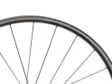 NEWMEN Rear Wheel 29" Phase 30 Light VONOA 6-Hole | 12x148 mm Boost | Shimano Micro Spline