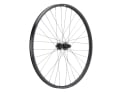 NEWMEN Rear Wheel 29" Beskar 30 Light 6-Loch | 12x148 mm Boost | Shimano Micro Spline