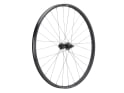 NEWMEN Hinterrad 29" Beskar 30 Base 6-Loch | 12x148 mm Boost | SRAM XD