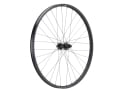 NEWMEN Rear Wheel 29" Beskar 30 Strong 6-Hole | 12x148 mm Boost | SRAM XD