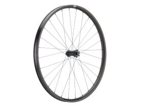 NEWMEN Vorderrad 29" Phase 30 Light 6-Loch | 15x110...