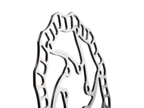 ASHIMA Brake Disc Ultralight | 140 mm