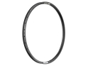 DT SWISS Rim 29" F 572