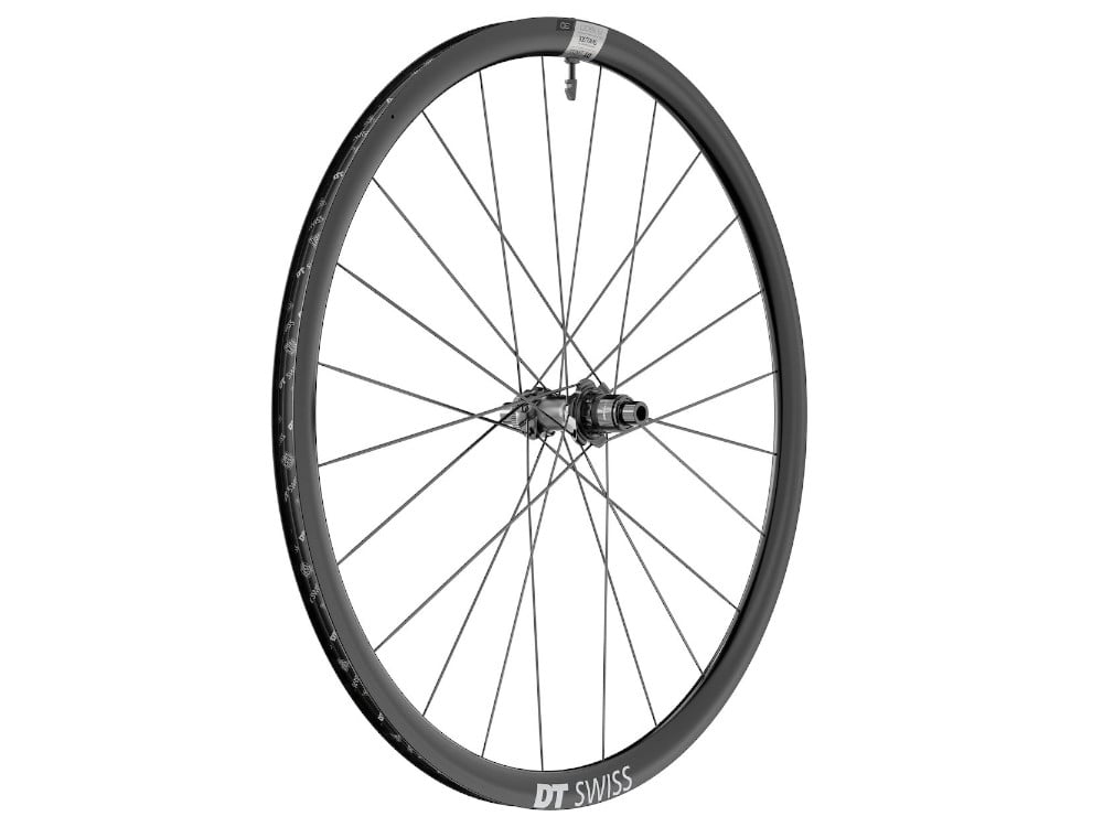 DT SWISS Rear Wheel 28