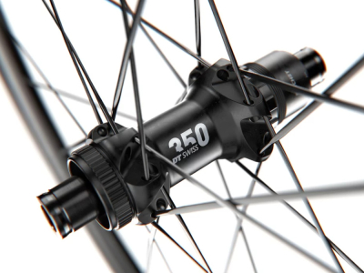 DT SWISS Rear Wheel 28