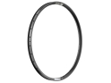 DT SWISS Rim 29" E 593