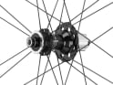 CAMPAGNOLO Wheelset 28" Shamal Carbon DB 2WF C21 | Campagnolo N3W
