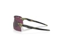 OAKLEY Sunglasses Encoder Strike Vented CHRYSALIS COLLECTION Fern Swirl | Prizm Road Black OO9235-1039