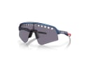小物 Oakley SUTRO LITE SWEEP Troy Lee Designs 2025 Oakley Sutro Lite Sweep Troy Lee Designs Series