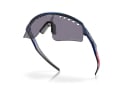 OAKLEY Sonnenbrille Sutro Lite Sweep TROY LEE DESIGNS COLLECTION Blue Colorshift | Prizm Grey OO9465-2839