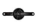ROTOR Powermeter Set | MTB INSpider | Kapic Carbon Cranks 1-speed | NoQ-Ring 170 mm 55 mm (141 mm Spindle)