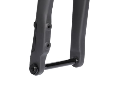 ビアンキ ROMA CARBON FORK ポリッシュ ビアンキ ROMA CARBON FORK ポリッシュ（蛸薬師店 | コンズ