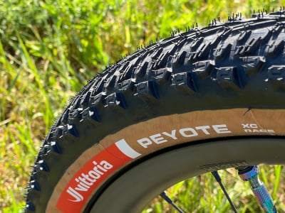 VITTORIA Tire Peyote XC-Race 29