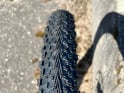 VITTORIA Tire Peyote XC-Race 29" x 2,4 TLR black / brown