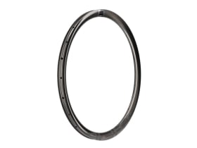 DUKE Rim 28" Baccara RX 36 SLR2 UD-Carbon Gravel...